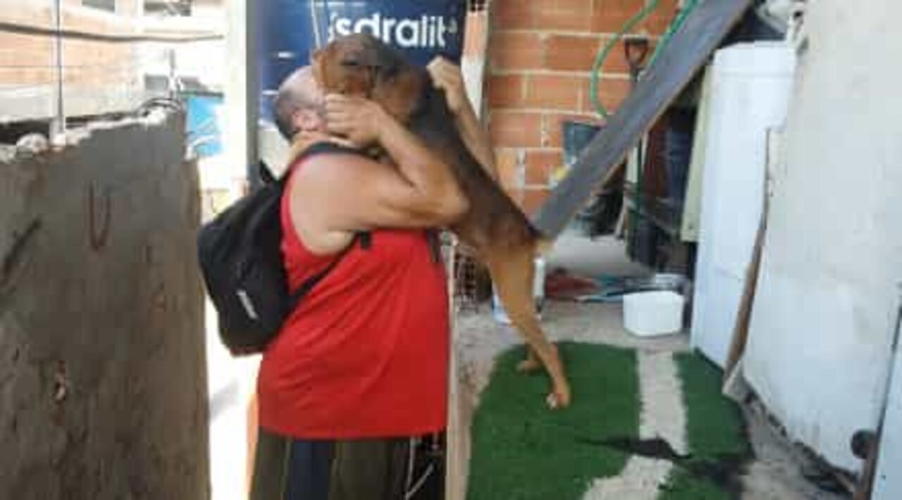 Dog welcomes his owner home with a warm hug