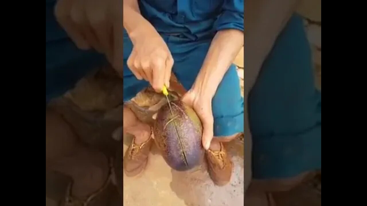 Cuba avocado Vietnam