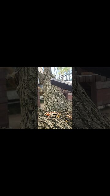 how many can you count?