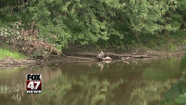 UPDATE: Human bones found in Grand River