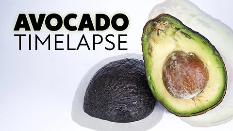 Rotting Avocado Time Lapse