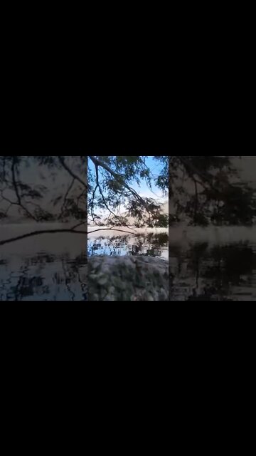 Morning Hike to the Lake #shorts