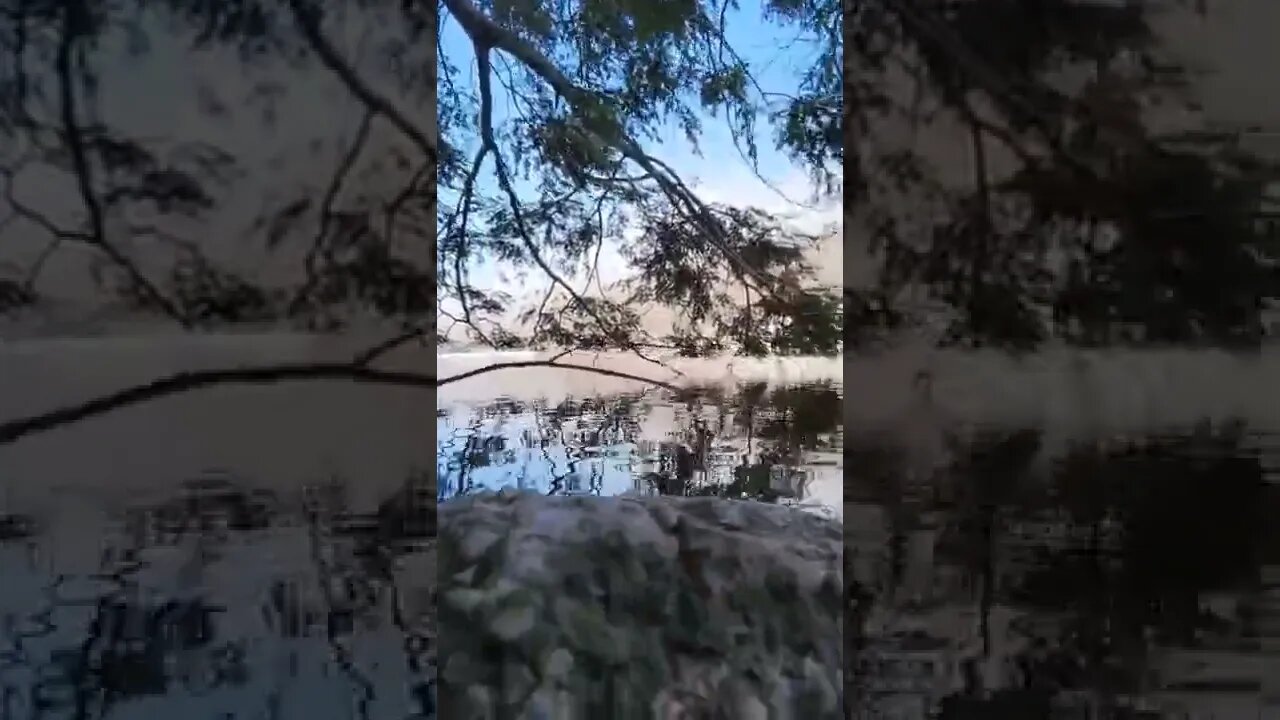 Morning Hike to the Lake #shorts