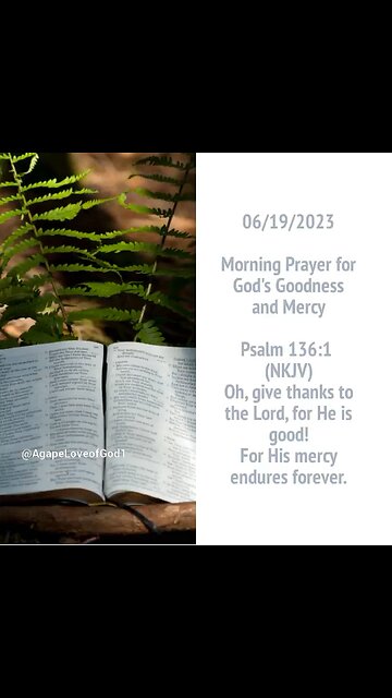 Daily Surrender: A Prayer for God's Goodness and Mercy #Shorts