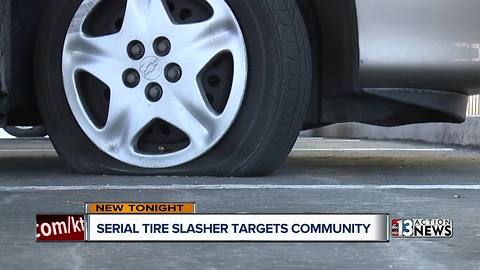 Neighbors terrorized by alleged serial tire slasher