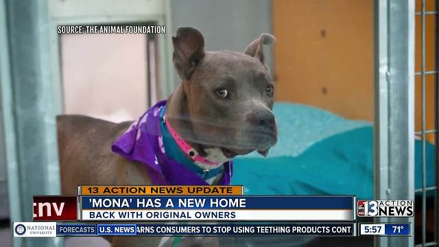 Mona has new home