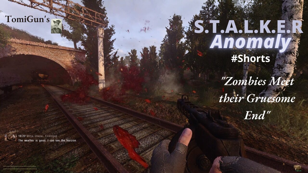 Zombies Meet their Gruesome End - S.T.A.L.K.E.R Anomaly Short Scene