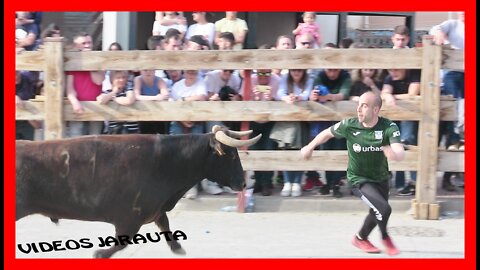 ARGUEDAS ( NAVARRA ) TARDE VACAS EN CALLE ( DOMINGO 17 ABRIL 2022 ) GNAD.USTARROZ