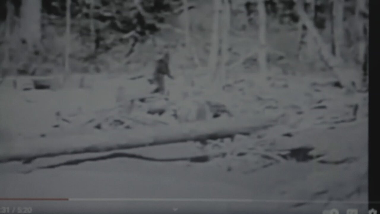 Bigfoot Bastardization