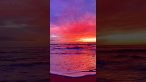 The best Beach 🏖️ #youtubeshorts #beach #shorts