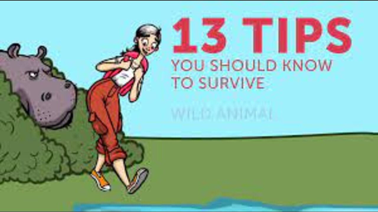 13 Tips on How to Survive Wild Animal Attacks