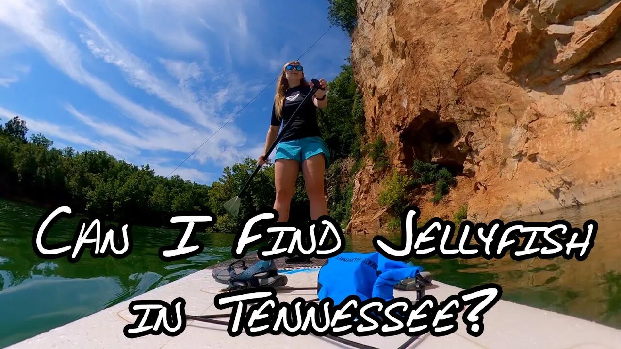 Paddle Boarding at Meads Quarry Lake (Ijams Nature Center)