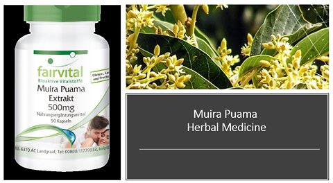 Muira Puma Bark Herbal Medicine Benfits