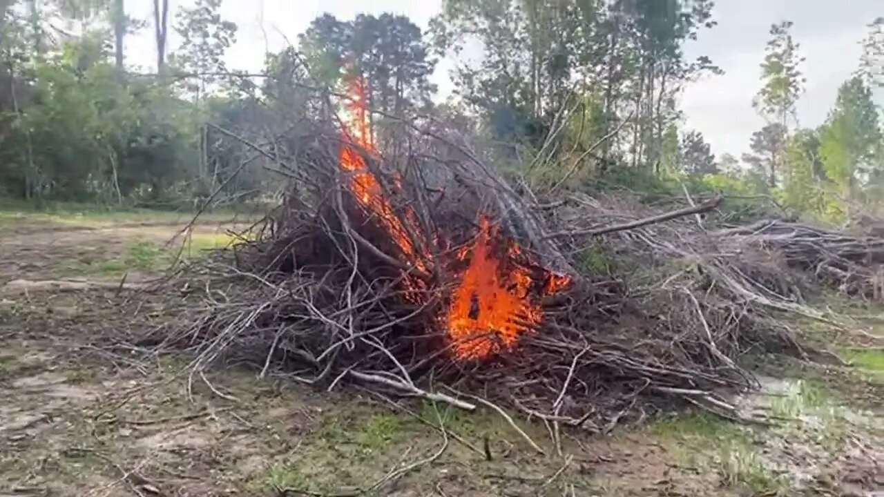 Clearing the land