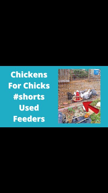 Using What You Have - Used Chicken Feeders #Shorts