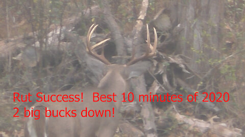 Rut Success! Best 10 minutes of 2020! 2 big bucks down!