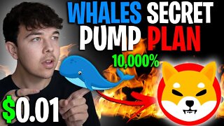 SHIBA INU COIN WHALE BUYS $20 MILLION SHIB 🔥 SHIB PRICE PREDICTION 🚨