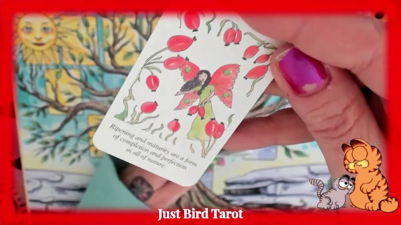 Pt 20 - My Entire Tarot Deck & Oracle Deck Collection 2023