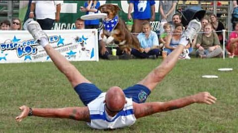 Equipe de frisbee e cão executam fantástico 'Bottle Cap Challenge'