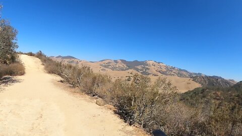 Fairy Lantern, Shell Ridge and Diablo Scenic View