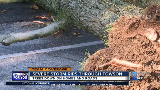 Severe Storm Rips Through Towson