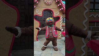 He Got Moves! Check Him Out! #like #subscribe #gingerbread #shorts