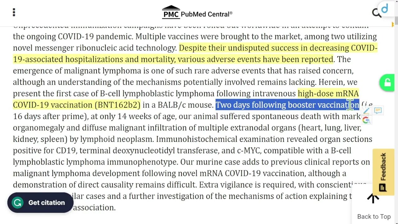 🟨 醫學研究報告 : 首例在 BALB/c 小鼠靜脈內加強注射 BNT162b2 mRNA COVID-19 疫苗後不久診斷出的致命性 B 細胞淋巴母細胞淋巴瘤 (B-LBL) 病例