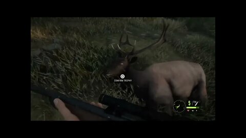 theHunter: Call of the Wild Chapter 67! Roosevelt Elk, Blacktail Deer and BlackBear!