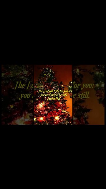 Daily Bible Verse short for day of December 21 2022