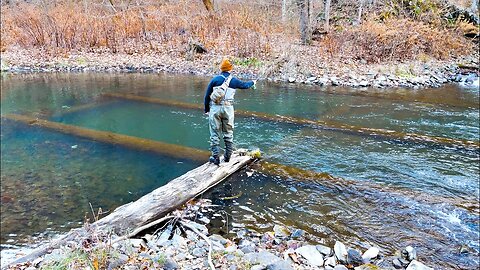 Trout Fishing Crystal Clear Water! (Fly Fishing Challenge)