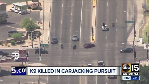 Phoenix carjacking suspect taken into custody, police K-9 killed