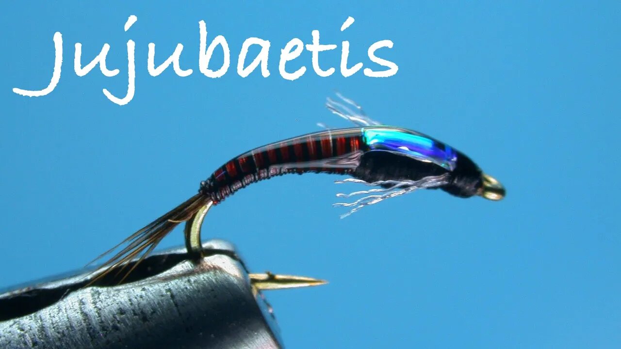 Jujubaetis Fly Tying Instructions - Tied by Charlie Craven