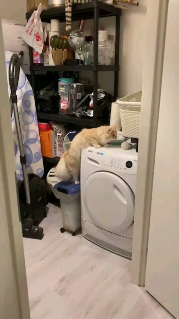 What happened next ?