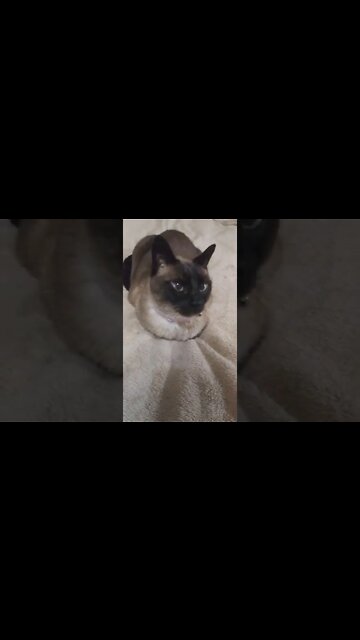 GOOD MORNING ERNASTINE