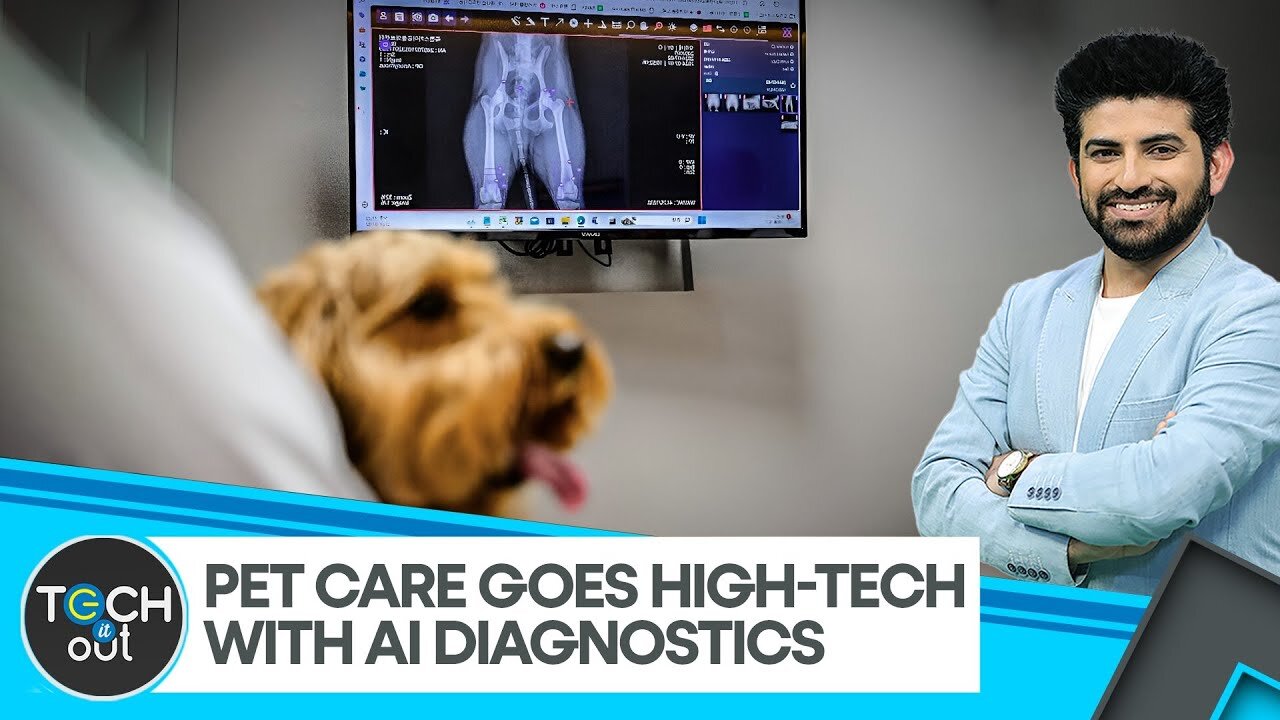 AI helps vets pinpoint X-ray abnormalities | Tech It Out