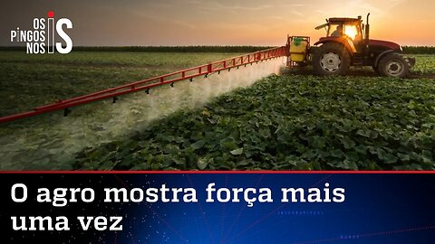 PIB da agropecuária deve crescer mais de 10% em 2023, diz IPEA