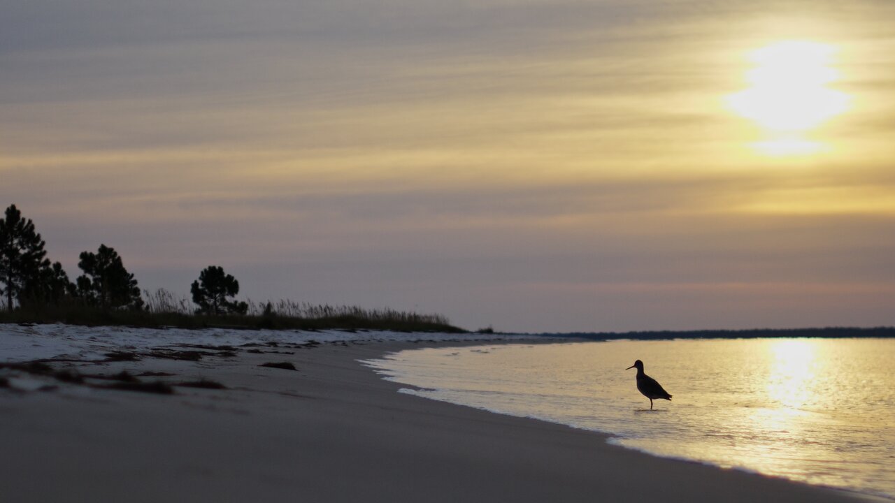 lens tests at a beach in Florida