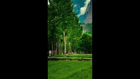 Beautiful valley in gilgit baltistan