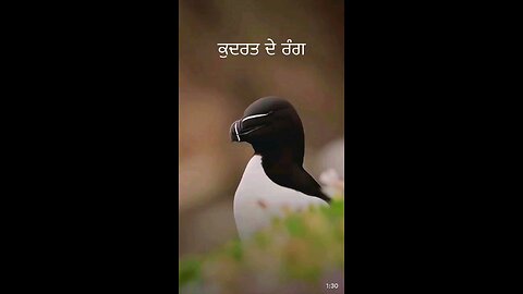 Nature beauty 😍