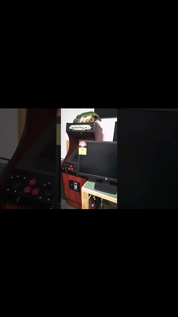 Schrodinger's Dumpster Monitor