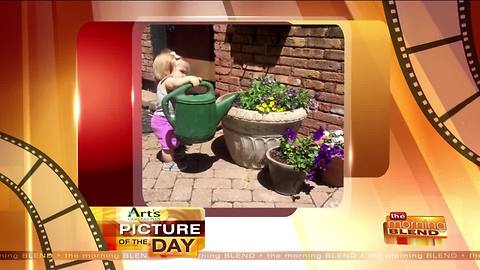 Art's Cameras Plus Picture of the Day for July 18!