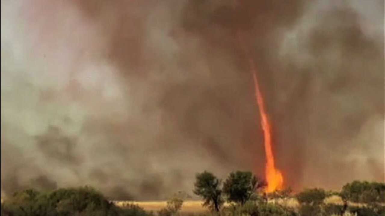 6 Horrifying Videos That Prove Nature is Trying to Kill Us