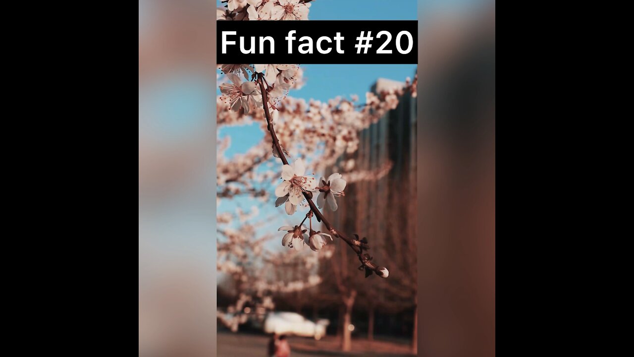 Did you know humans have super power
