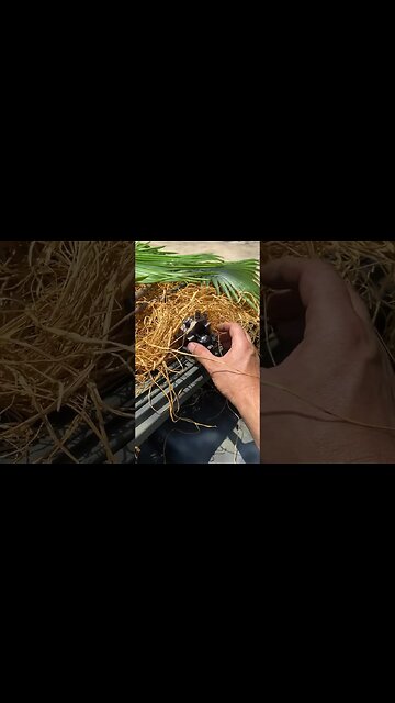 Ghilliepuck Blind. Check them out. @ghilliepuck