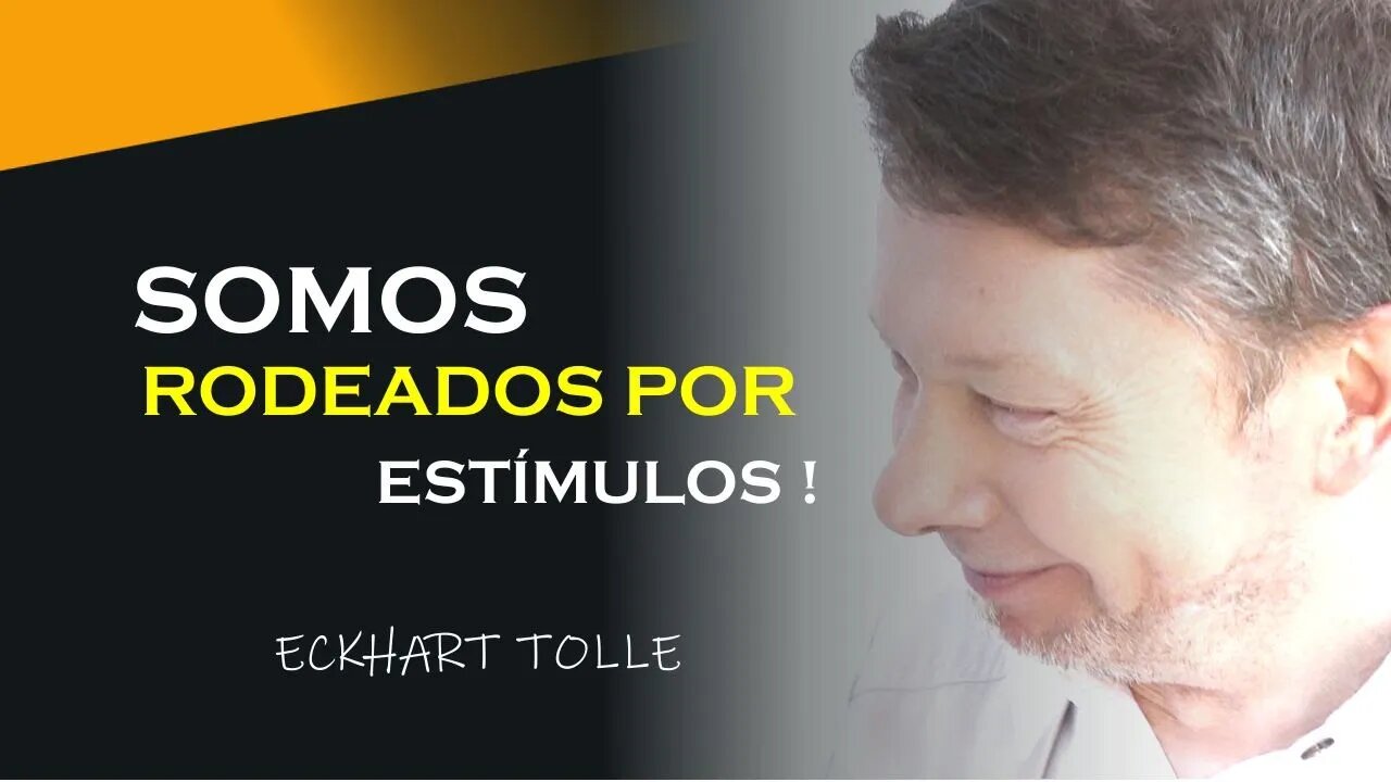 ESTAMOS RODEADOS DE ESTÍMULOS, ECKHART TOLLE DUBLADO