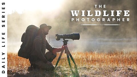 Amazing Bird Photography in the footsteps of BBC and Nat Geo - 2 weeks in Norway