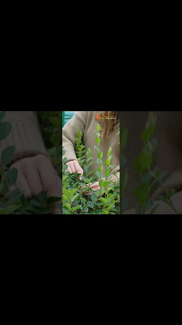 CUIDADO COM AQUILO QUE VOCÊ DESEJA