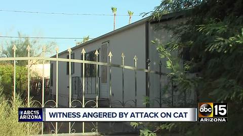 Man witnesses neighbor allegedly beating cats with hammer