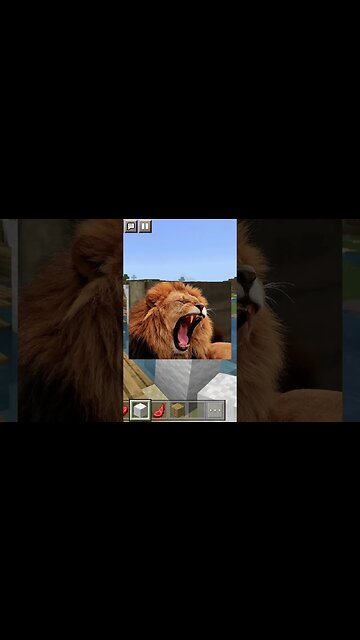 A Squirrel take down a Lion?