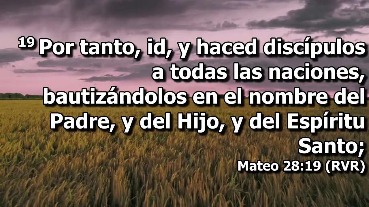 La Iglesia es una Confraternidad ( espiritual) 07/14/2023